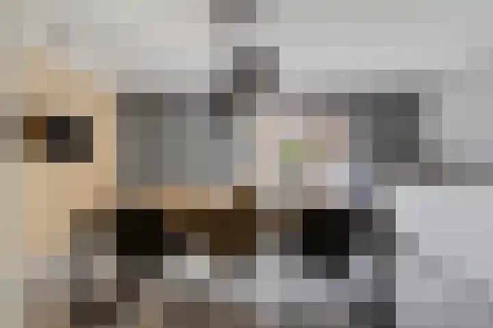 Vasseurdreef 26 Rucphen thumbnail 10