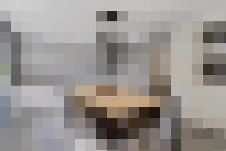 Vasseurdreef 26 Rucphen thumbnail 11
