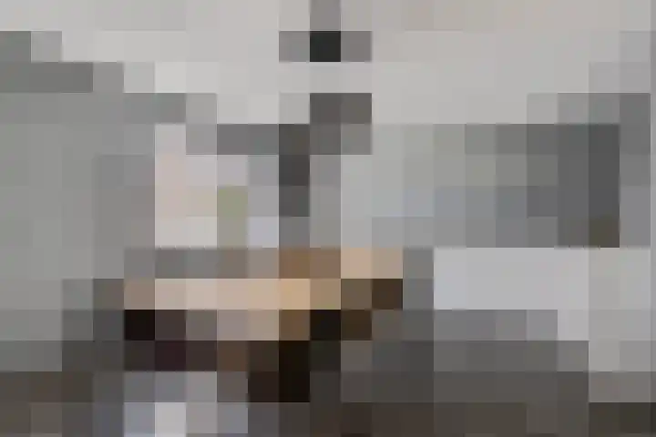 Vasseurdreef 26 Rucphen thumbnail 12