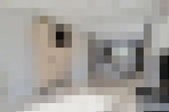 Vasseurdreef 26 Rucphen thumbnail 15