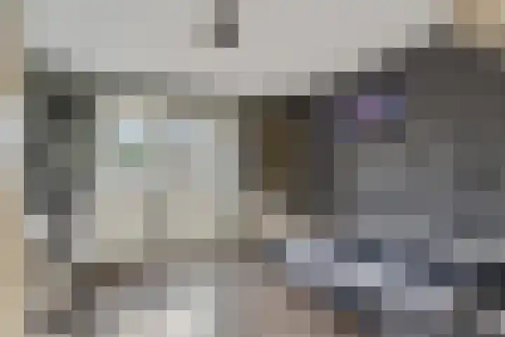 Vasseurdreef 26 Rucphen thumbnail 18