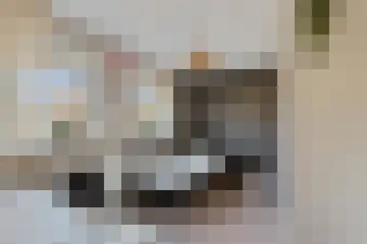 Vasseurdreef 26 Rucphen thumbnail 20