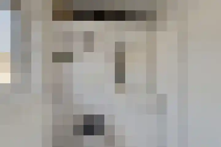 Vasseurdreef 26 Rucphen thumbnail 22