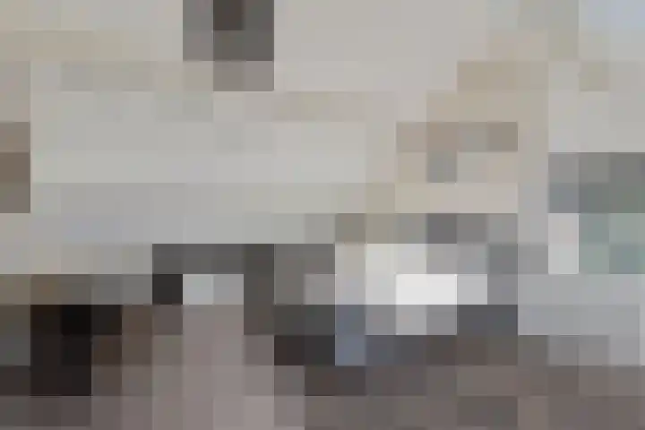 Vasseurdreef 26 Rucphen thumbnail 25