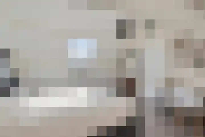 Vasseurdreef 26 Rucphen thumbnail 26