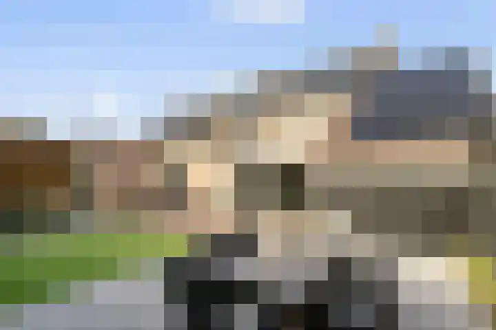 Vasseurdreef 26 Rucphen thumbnail 27