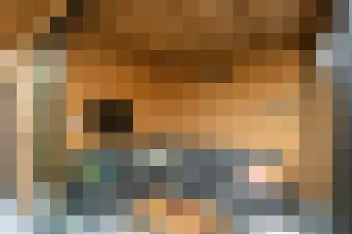 Vasseurdreef 26 Rucphen thumbnail 30