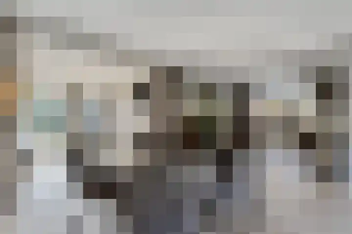 Vasseurdreef 26 Rucphen thumbnail 8