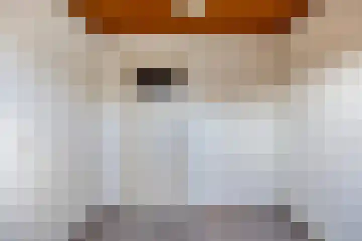 Vasseurdreef 63 Rucphen thumbnail 25