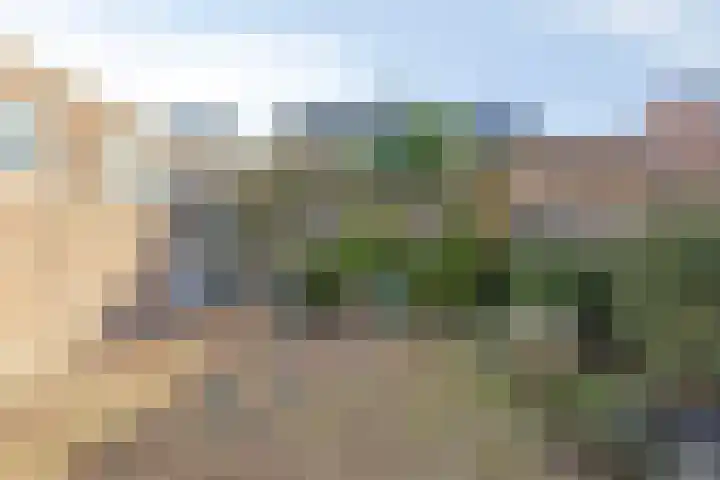 Vasseurdreef 63 Rucphen thumbnail 29