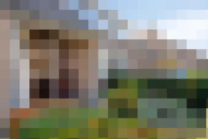 Vasseurdreef 63 Rucphen thumbnail 7