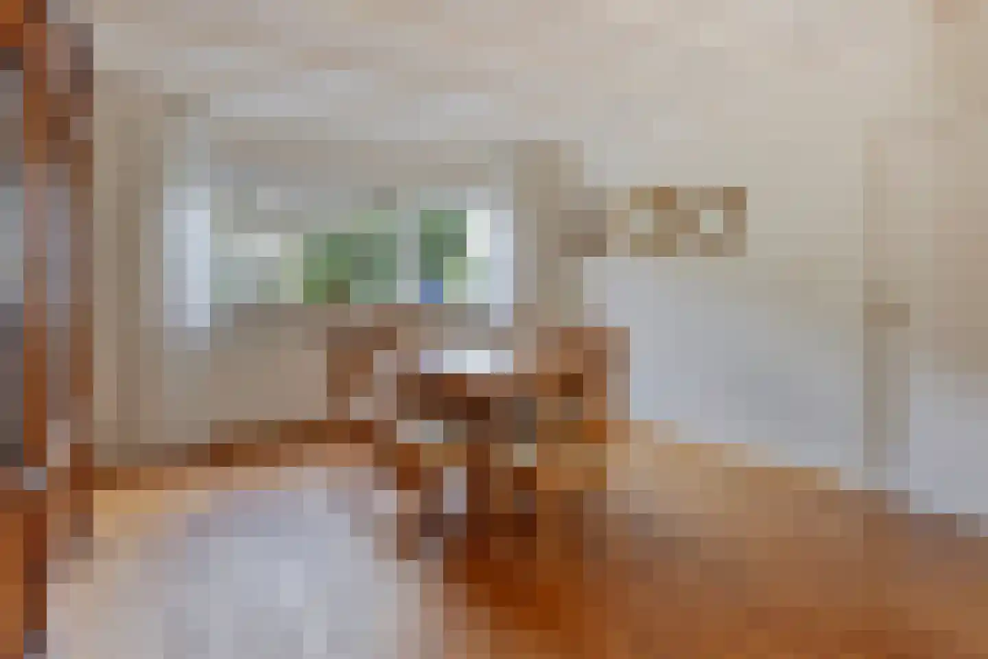 Vasseurdreef 78 Rucphen thumbnail 17