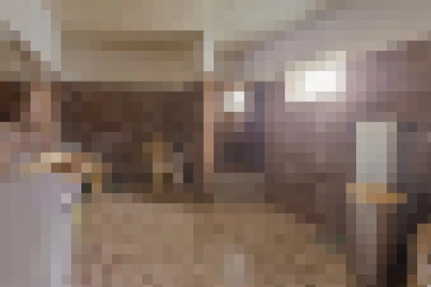 Vasseurdreef 78 Rucphen thumbnail 33