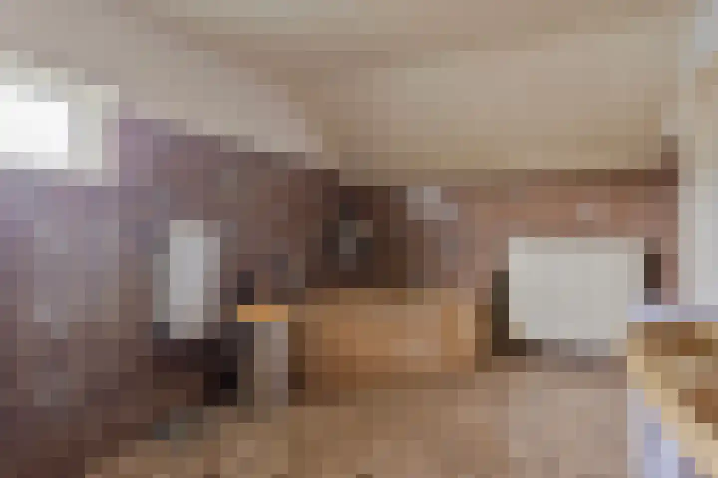 Vasseurdreef 78 Rucphen thumbnail 34