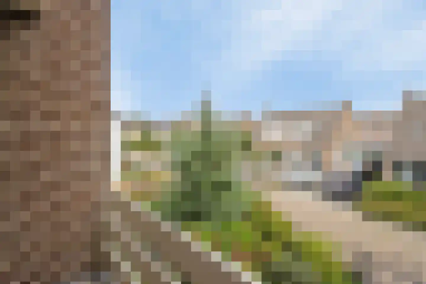 Vasseurdreef 78 Rucphen thumbnail 37