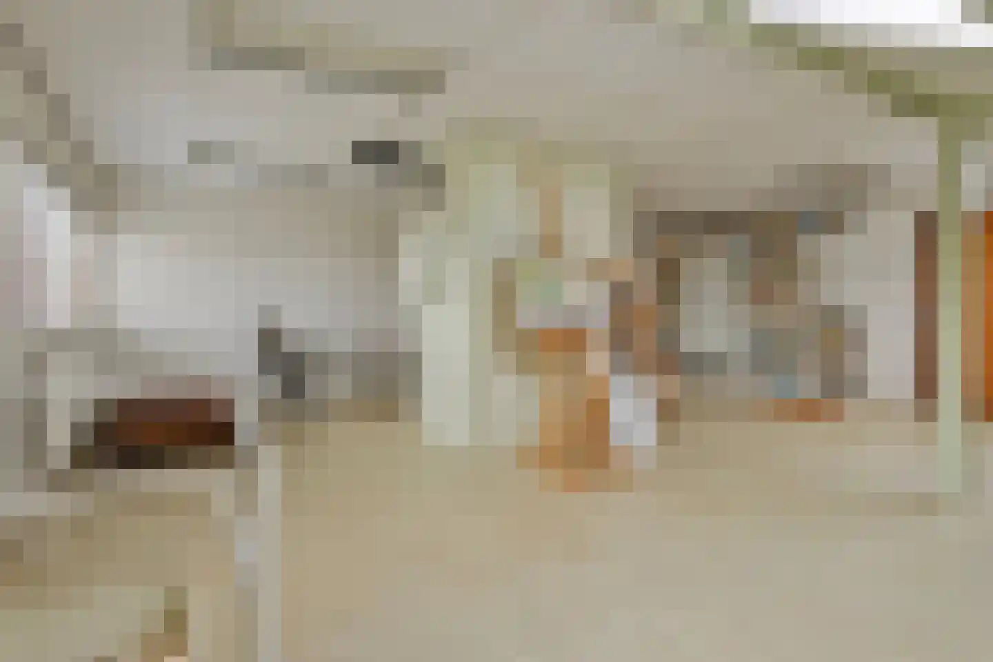 Vasseurdreef 78 Rucphen thumbnail 38