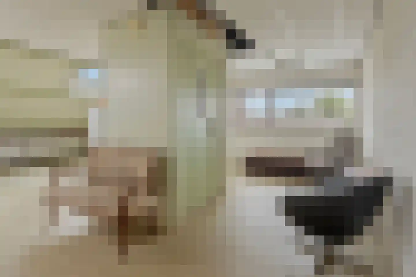 Vasseurdreef 78 Rucphen thumbnail 41