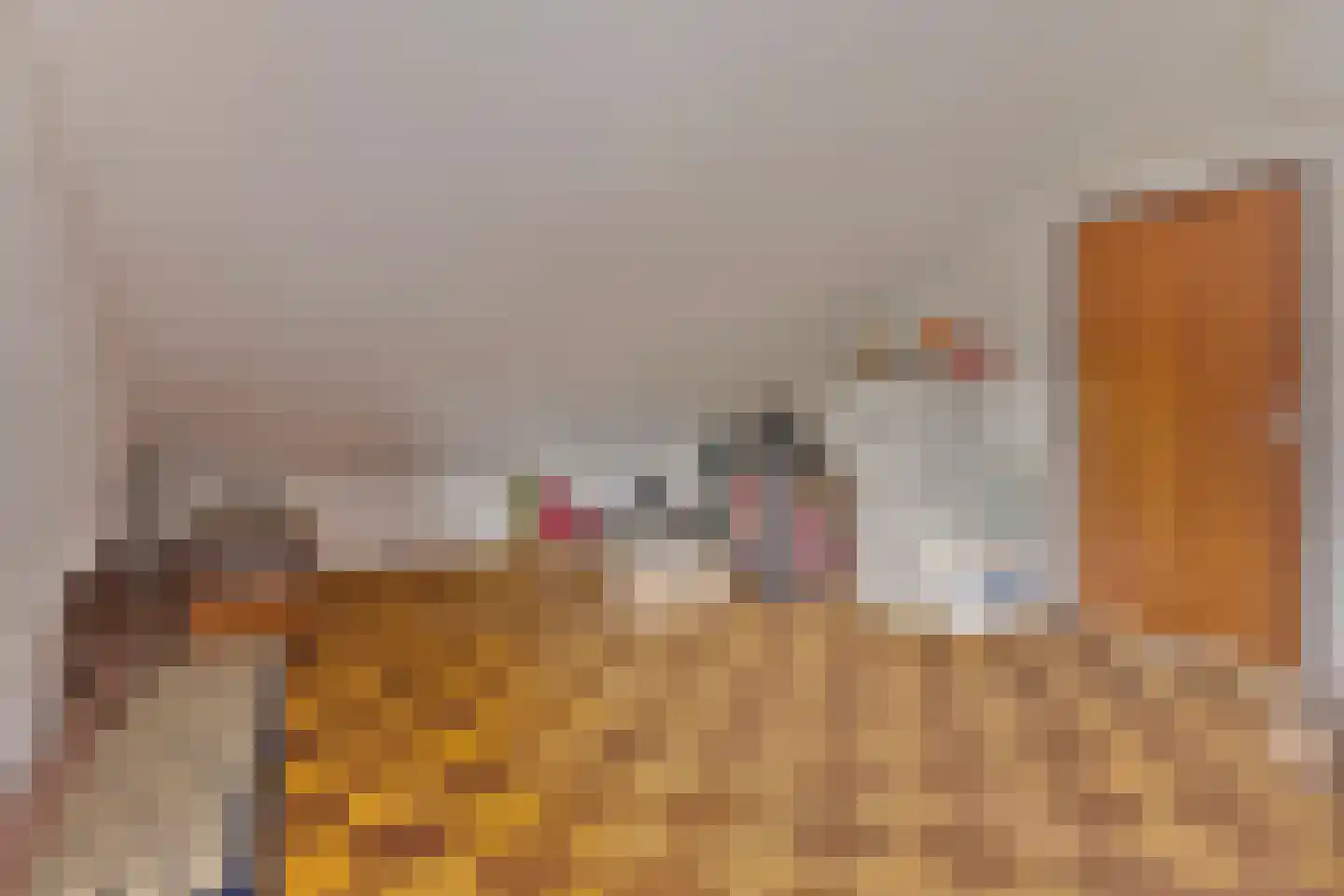 Vasseurdreef 78 Rucphen thumbnail 43