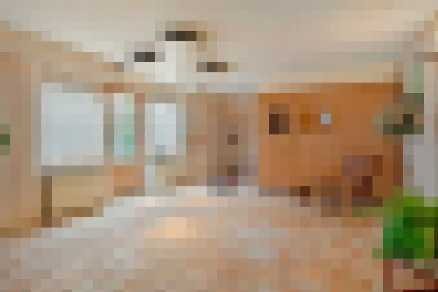 Vasseurdreef 78 Rucphen thumbnail 46