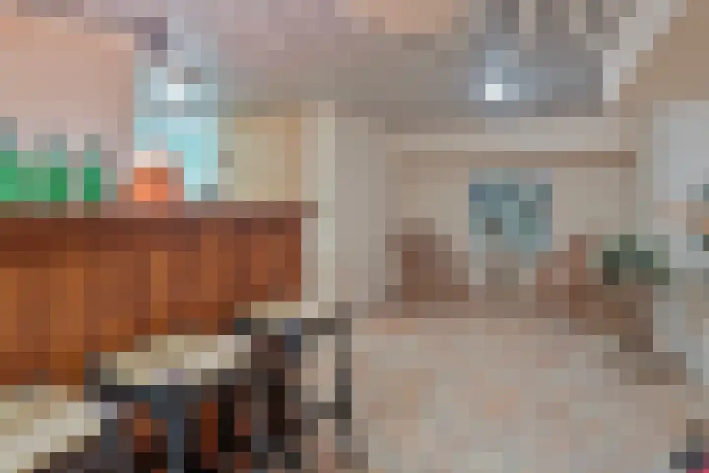 Vasseurdreef 78 Rucphen thumbnail 52