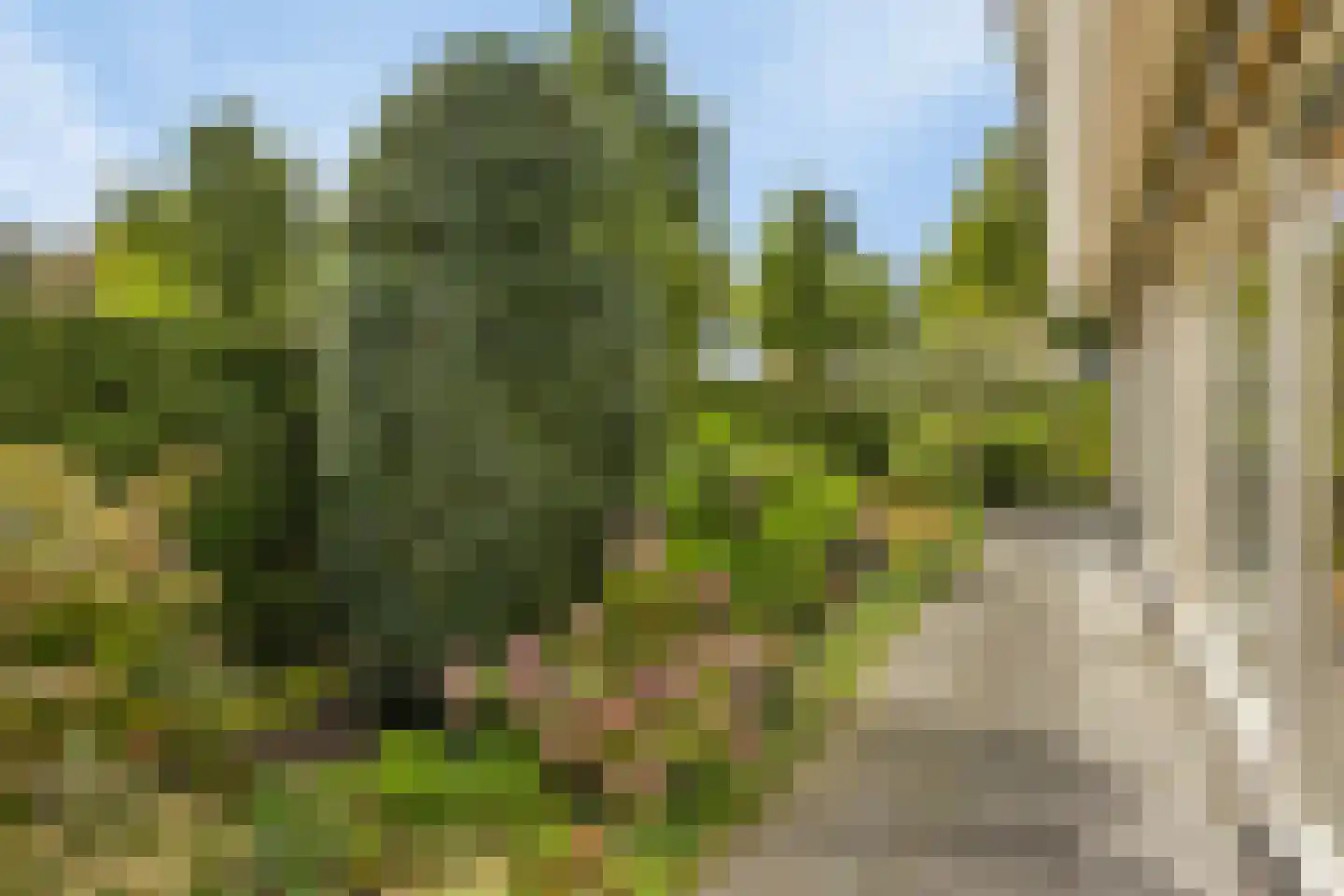 Vasseurdreef 78 Rucphen thumbnail 56