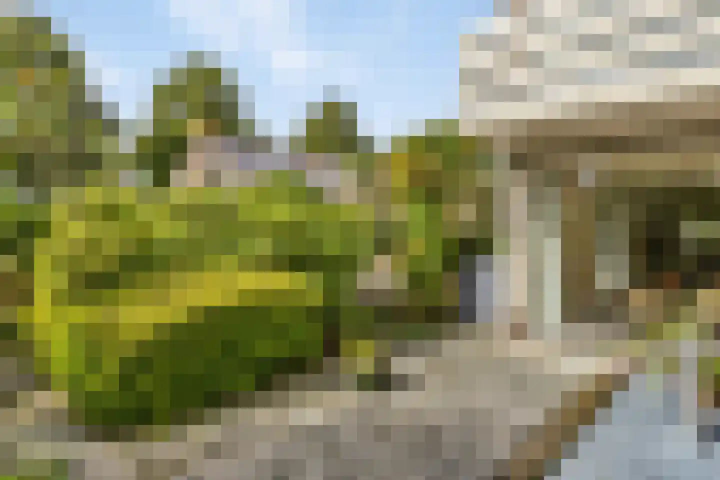 Vasseurdreef 78 Rucphen thumbnail 57