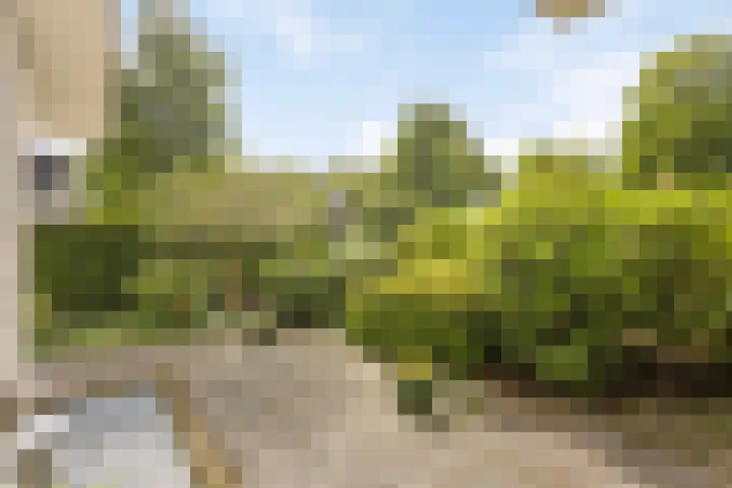 Vasseurdreef 78 Rucphen thumbnail 59