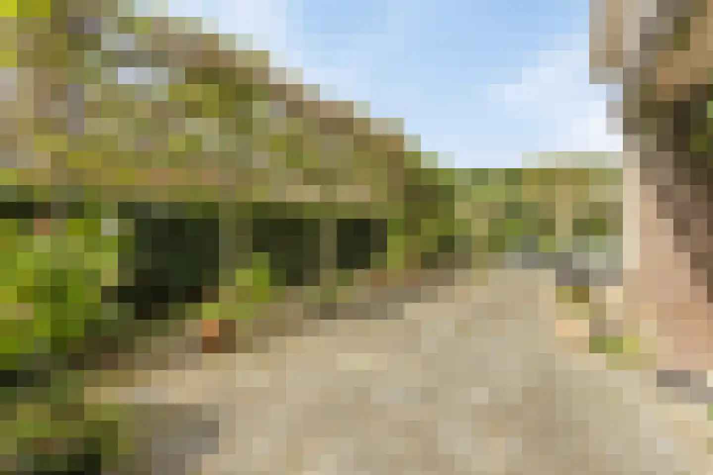 Vasseurdreef 78 Rucphen thumbnail 60