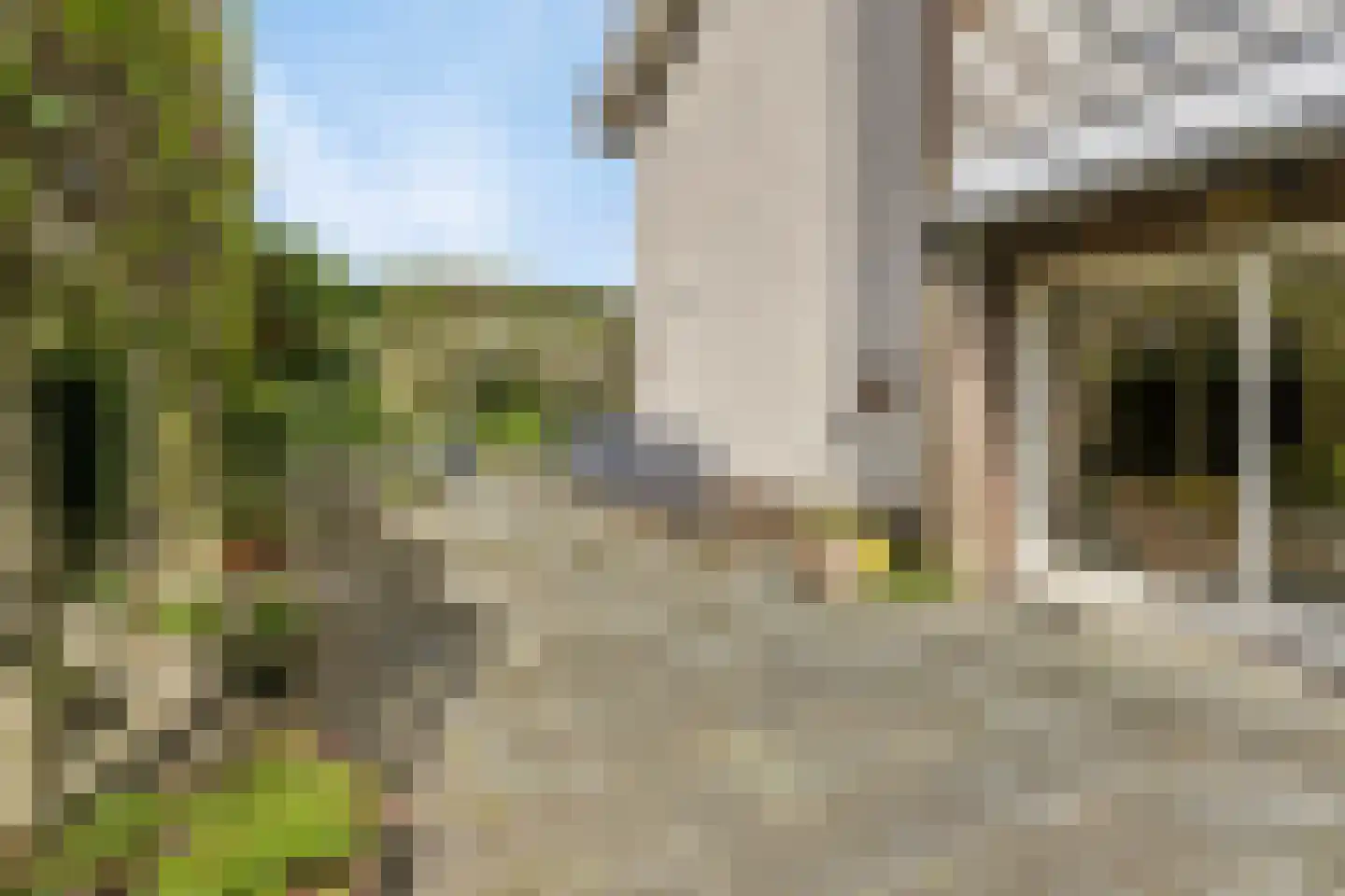 Vasseurdreef 78 Rucphen thumbnail 61