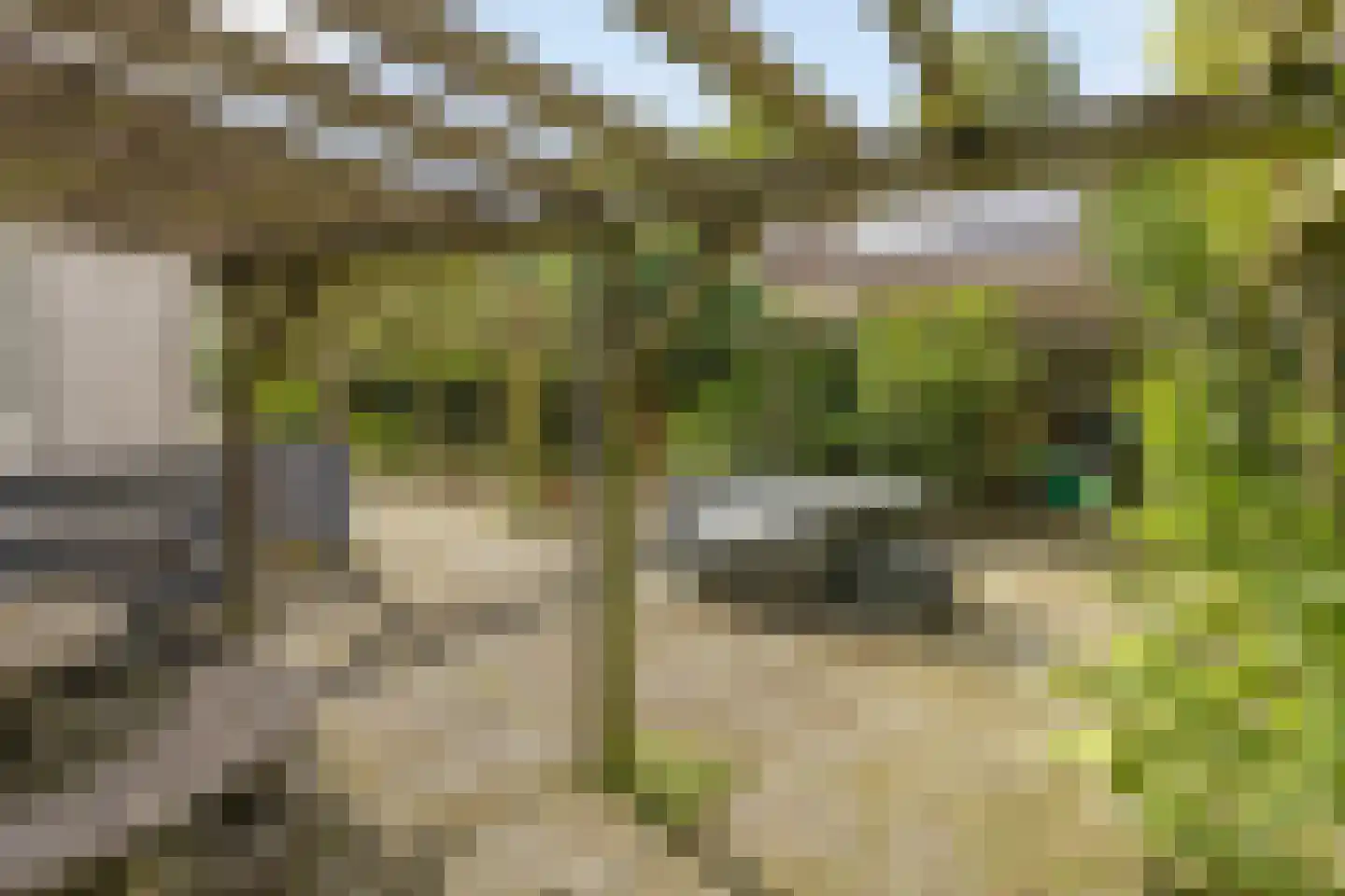 Vasseurdreef 78 Rucphen thumbnail 63