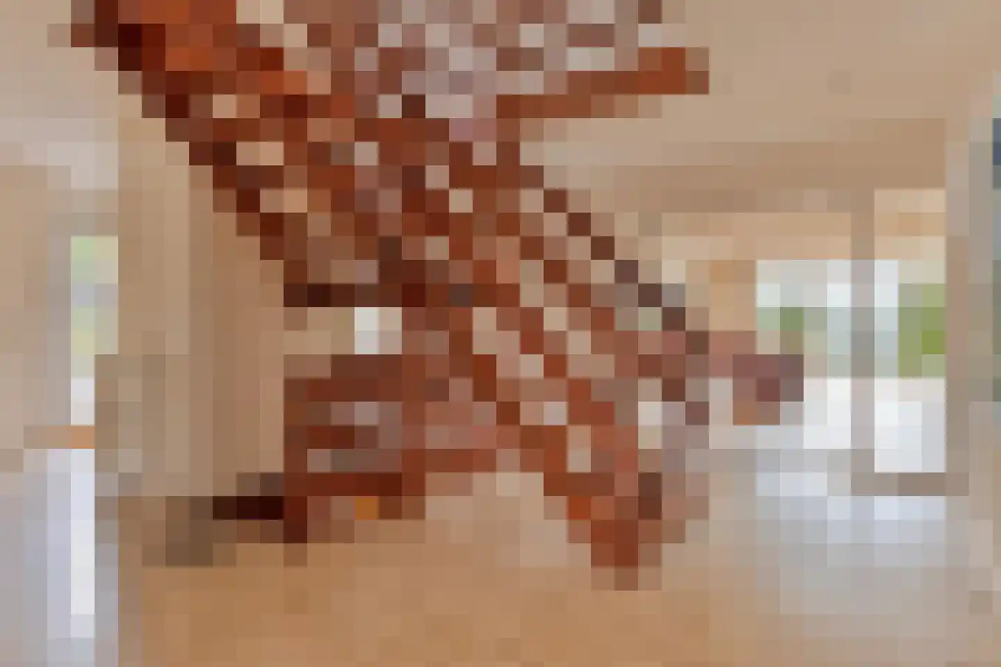 Vasseurdreef 78 Rucphen thumbnail 7