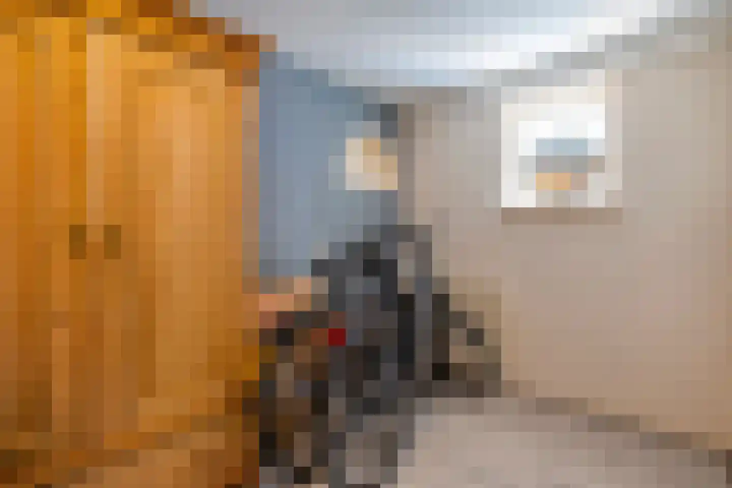 Vaste Belterweg 15 Belt-Schutsloot thumbnail 24
