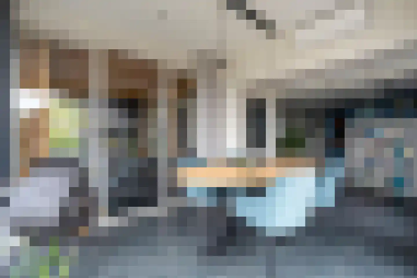 Vaste Belterweg 15 Belt-Schutsloot thumbnail 29