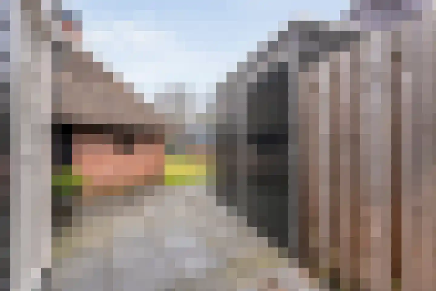 Vaste Belterweg 15 Belt-Schutsloot thumbnail 31