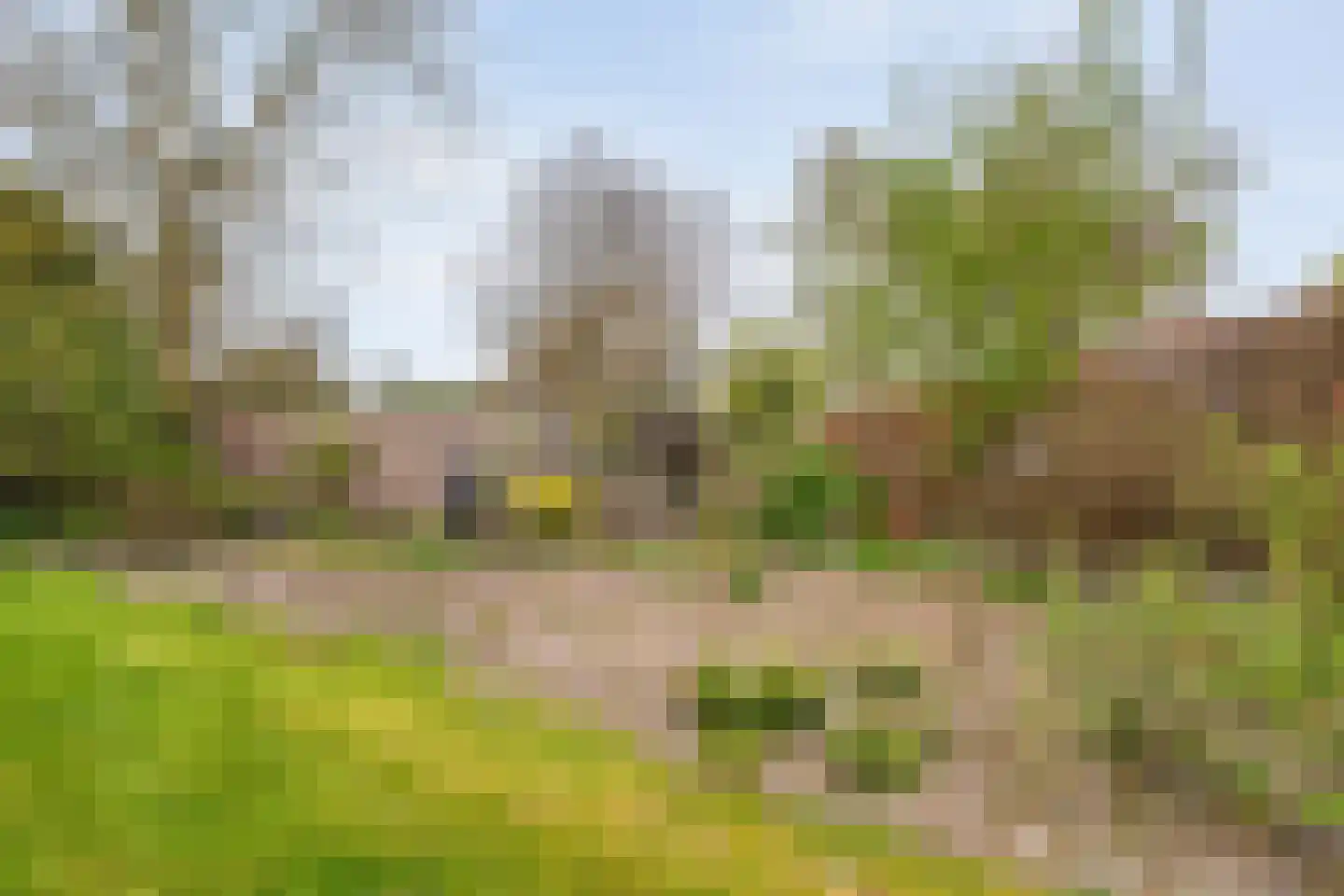 Vaste Belterweg 15 Belt-Schutsloot thumbnail 32