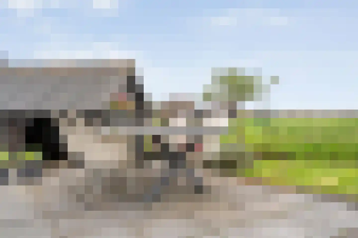 Vaste Belterweg 15 Belt-Schutsloot thumbnail 35