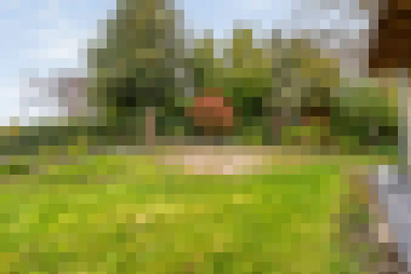 Vaste Belterweg 15 Belt-Schutsloot thumbnail 36