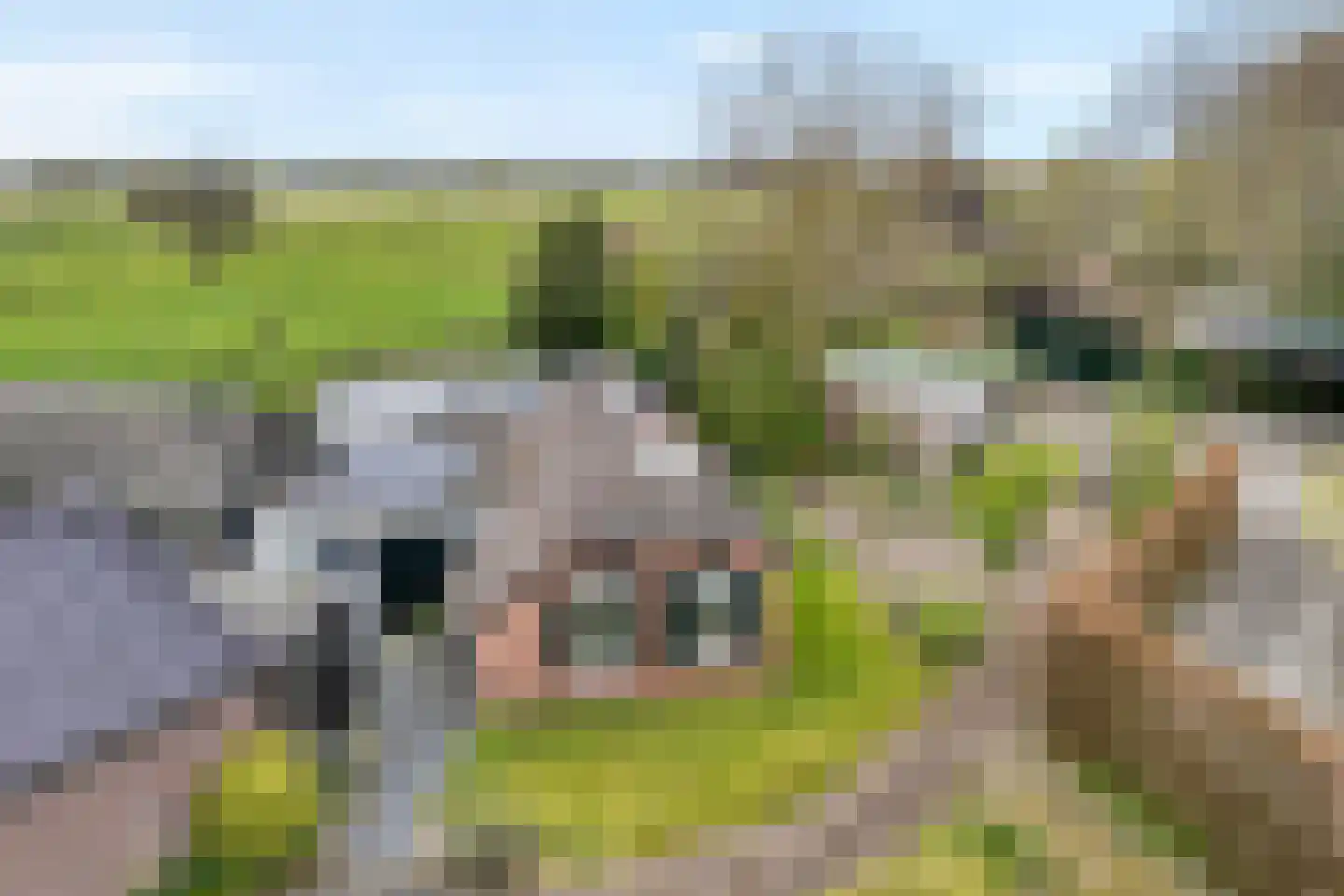 Vaste Belterweg 15 Belt-Schutsloot thumbnail 43