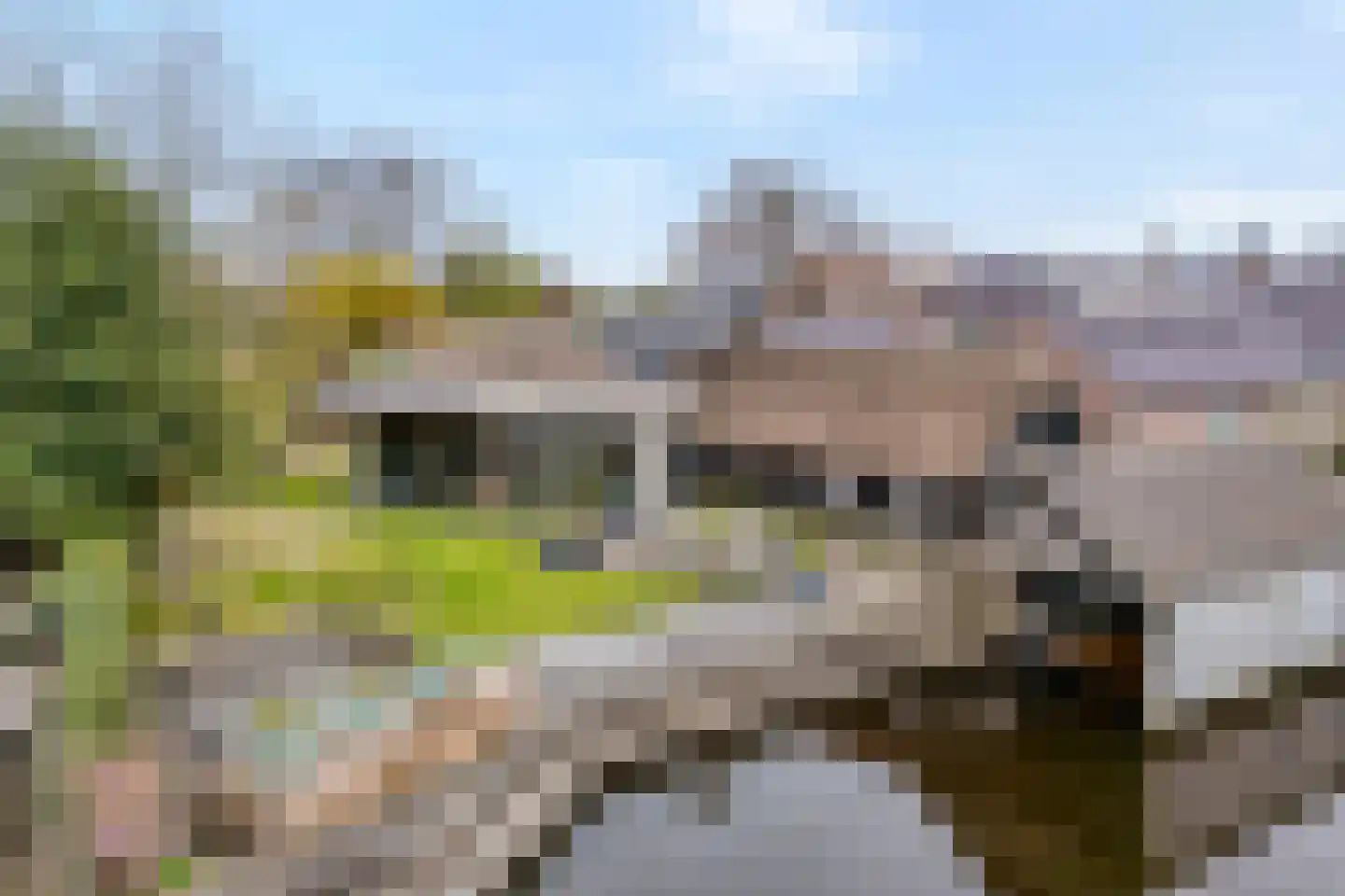 Vaste Belterweg 15 Belt-Schutsloot thumbnail 44