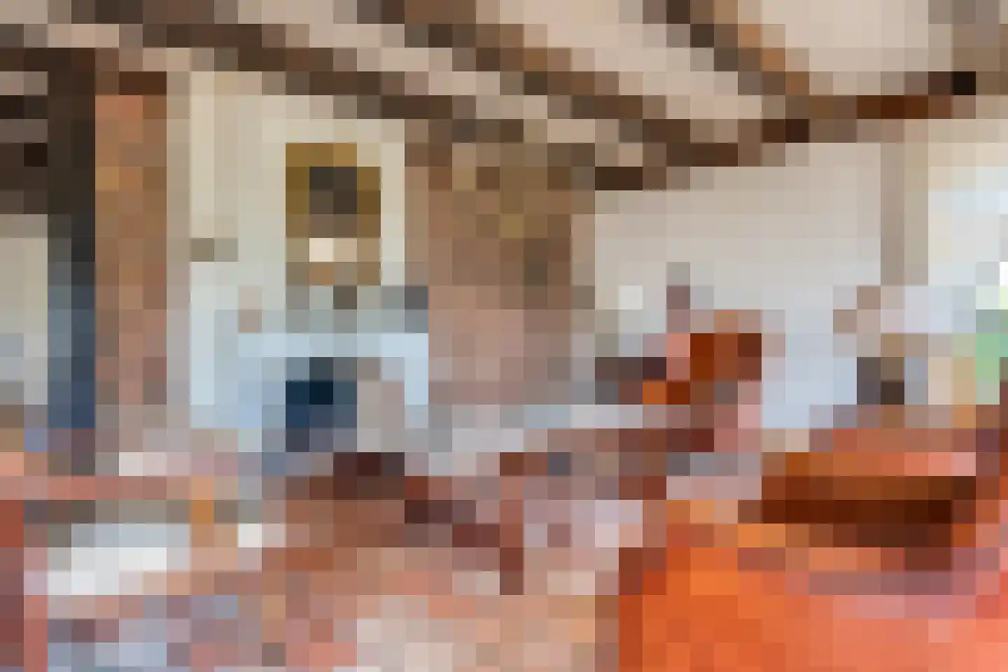 Vaste Belterweg 7 Belt-Schutsloot thumbnail 12