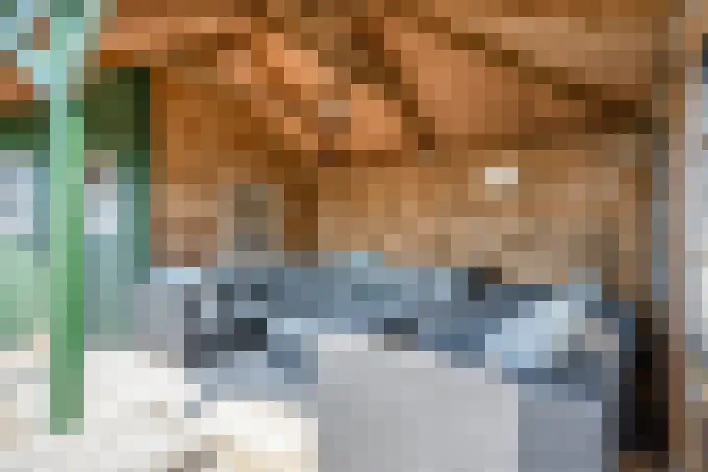 Vaste Belterweg 7 Belt-Schutsloot thumbnail 51