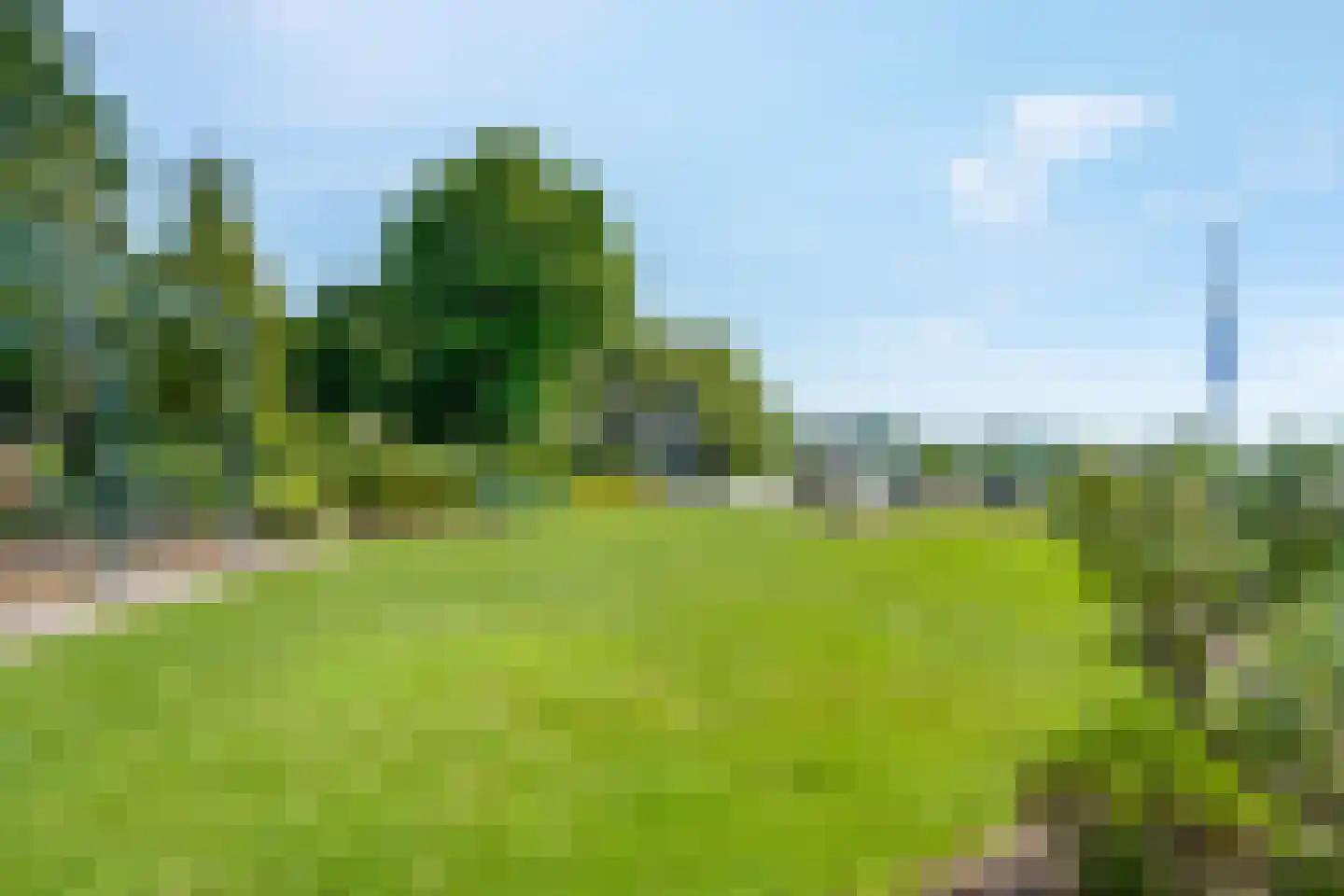Vaste Belterweg 7 Belt-Schutsloot thumbnail 57