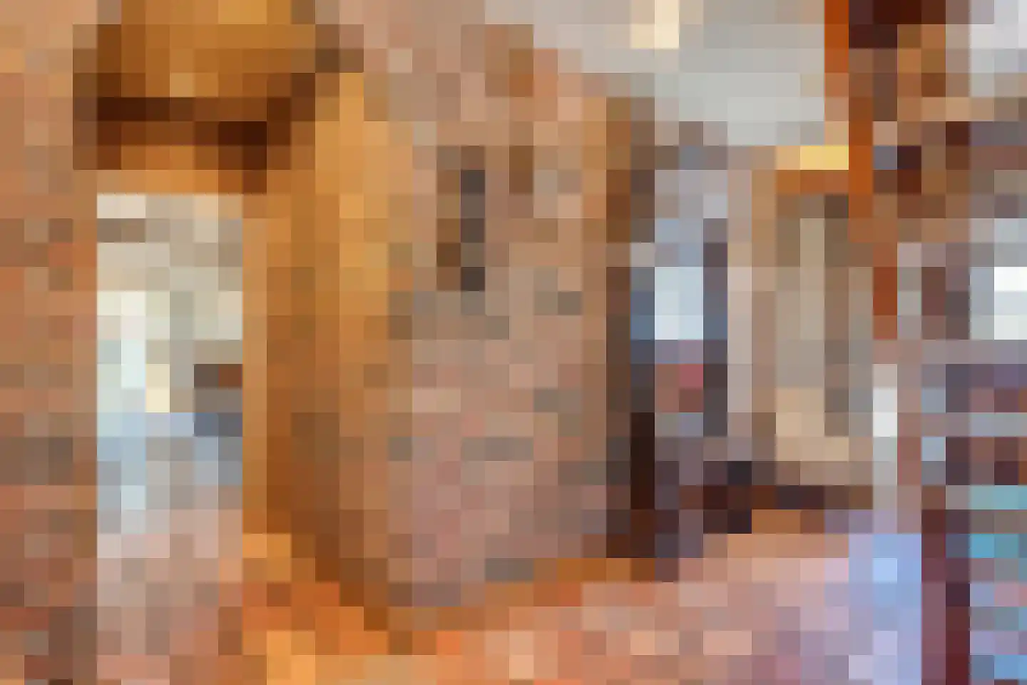 Vaste Belterweg 7 Belt-Schutsloot thumbnail 6