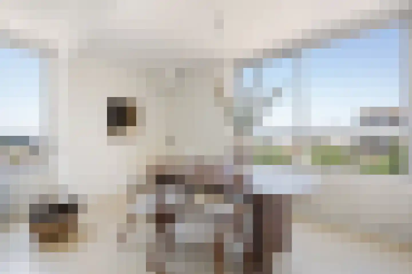 Vasteland 221 Rotterdam thumbnail 14