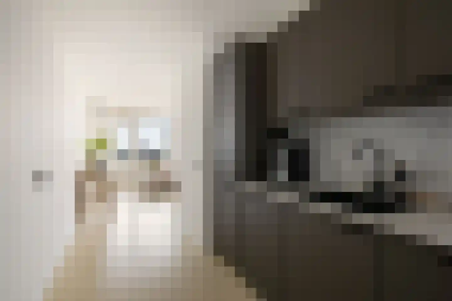 Vasteland 221 Rotterdam thumbnail 5
