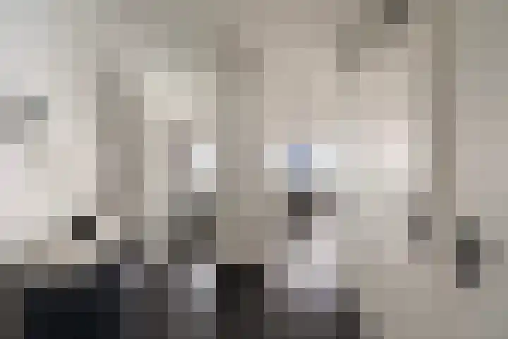 Vasteland 229 Rotterdam thumbnail 22