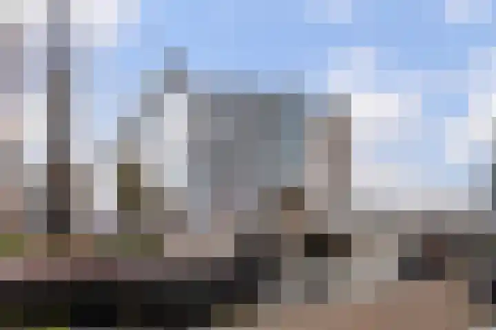Vasteland 229 Rotterdam thumbnail 32