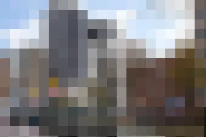 Vasteland 229 Rotterdam thumbnail 34