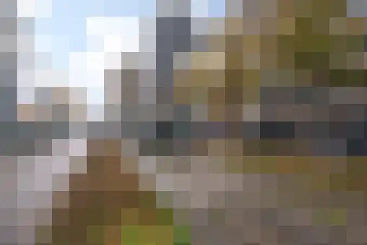 Vasteland 229 Rotterdam thumbnail 35