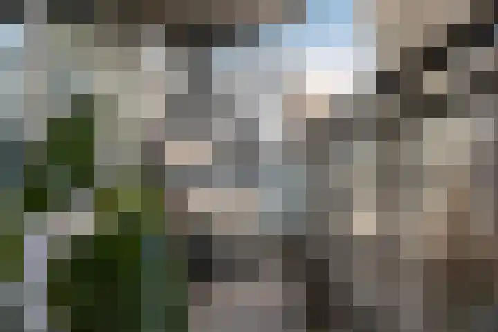Vasteland 229 Rotterdam thumbnail 5
